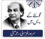 جرمنی کے حالیہ انتخابات اور اس کے نتائج: تحریر :سرور غزالی