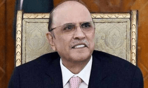 سیاستدان کو مشکلات برداشت کرنا پڑتی ہیں یہی اس کا امتحان ہے،صدر زرداری