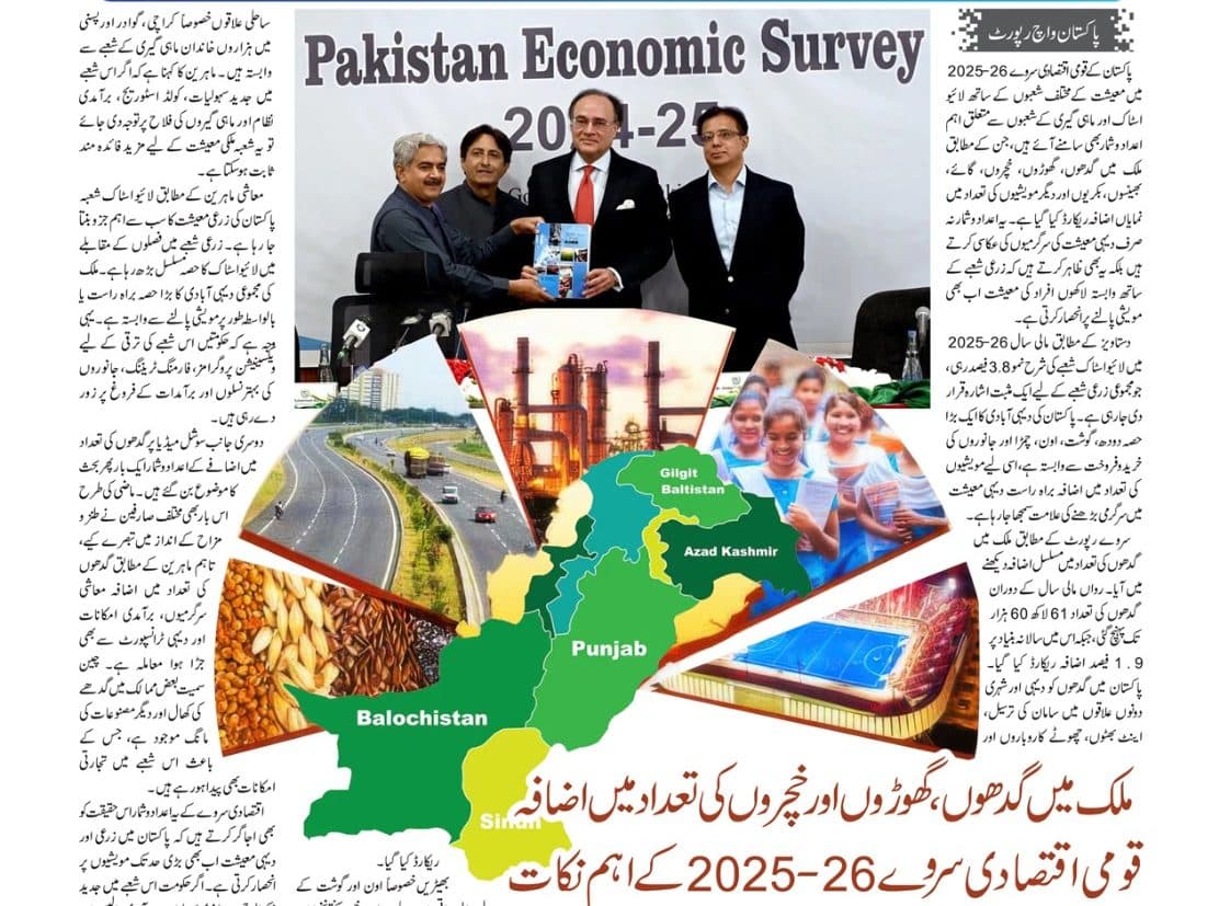 ملک میں گدھوں، گھوڑوں اور خچروں کی تعداد میں اضافہ…پاکستان واچ رپورٹ