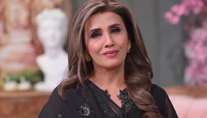 گلوکارہ حمیرا چنا کی گاڑی کراچی سے چوری ہوگئی